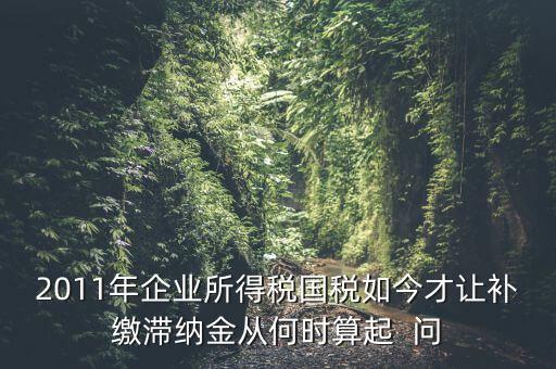 納稅滯納金什么時(shí)候算，企業(yè)所得稅滯納金計(jì)算從何時(shí)開(kāi)始計(jì)算