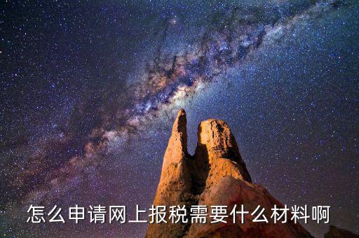 網(wǎng)上國稅報(bào)稅需要什么資料，怎么申請(qǐng)網(wǎng)上報(bào)稅需要什么材料啊