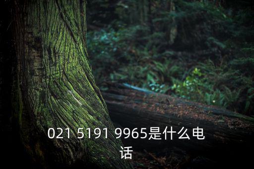 電稅中心是什么意思，021 5191 9965是什么電話
