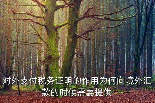 對外支付稅務(wù)證明的作用為何向境外匯款的時候需要提供