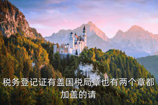 財稅證書什么樣，娛樂場所稅務(wù)登記證是什么樣子