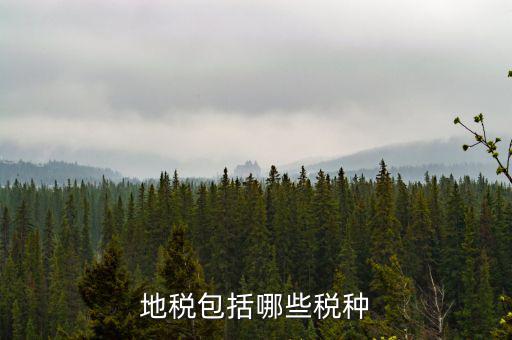 地稅包括什么，地稅包括哪些稅種