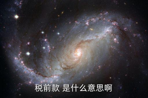 稅前金額是什么意思，稅前款 是什么意思啊