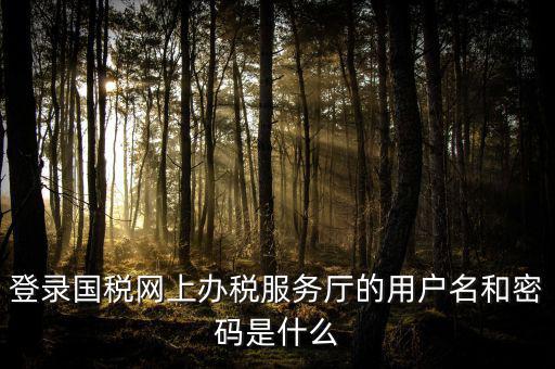 國稅網(wǎng)上登錄密碼是什么意思，國稅第一次網(wǎng)上申報的登陸密碼是什么