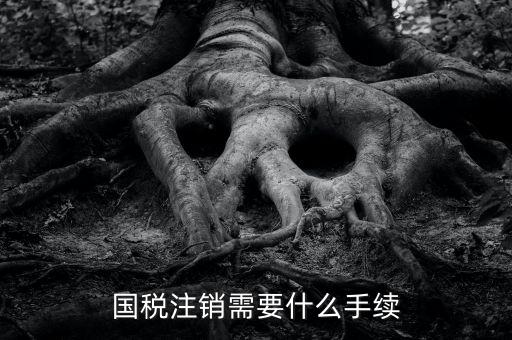 國稅局注銷要什么手續(xù)，國稅注銷需要什么手續(xù)