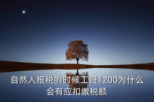 自然人報(bào)稅的時(shí)候工資1200為什么會有應(yīng)扣繳稅額
