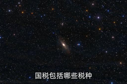 國稅局主要收什么稅，國稅包括哪些稅種