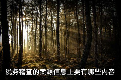 稅務(wù)督察內(nèi)審做什么的，內(nèi)審監(jiān)察主要工作職能