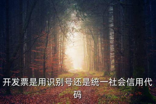 發(fā)票填寫統(tǒng)一社會代碼是什么，開發(fā)票要的稅號是統(tǒng)一社會代碼證號嗎