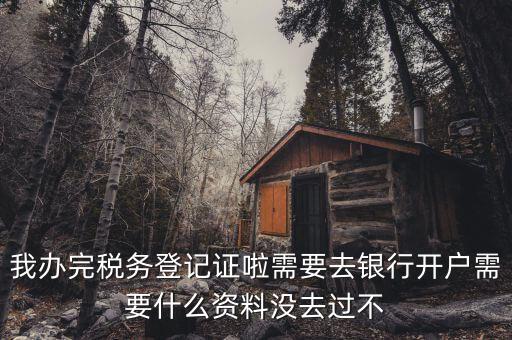 稅務(wù)登記以后需要什么資料，辦理稅務(wù)登記證都需要提供什么資料