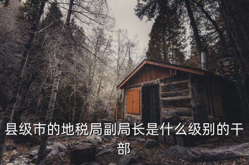 地稅局副局什么級別，縣級市的地稅局副局長是什么級別的干部