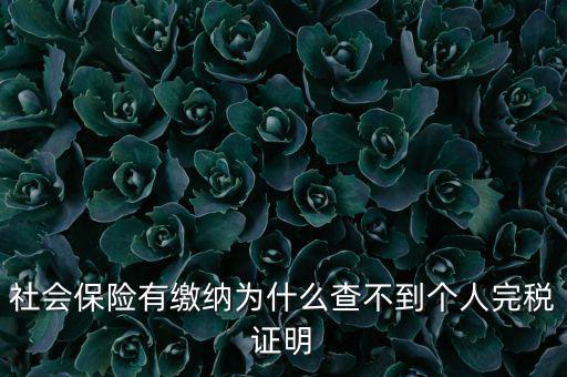 為什么查不到納稅記錄，社會(huì)保險(xiǎn)有繳納為什么查不到個(gè)人完稅證明