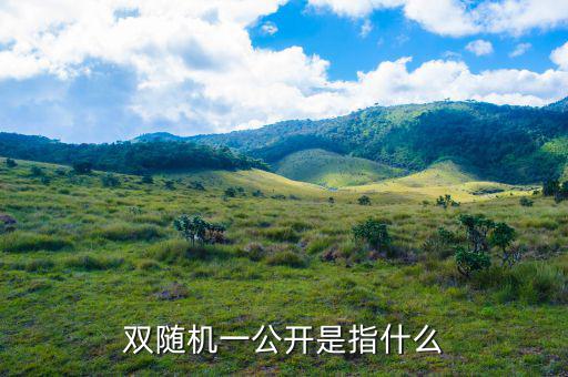 稅務(wù)雙隨機(jī)一公開是什么意思，雙隨機(jī)一公開屬于什么用語比如習(xí)語標(biāo)語或者成語之類的因?yàn)?/></a></span><span id=