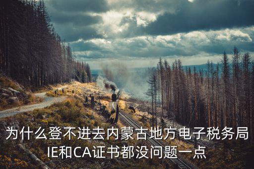 為什么ca登不了電子稅務(wù)局，國(guó)稅數(shù)字證書登陸失敗請(qǐng)問(wèn)什么原因