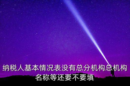 納稅人基本情況表沒(méi)有總分機(jī)構(gòu)總機(jī)構(gòu)名稱等還要不要填