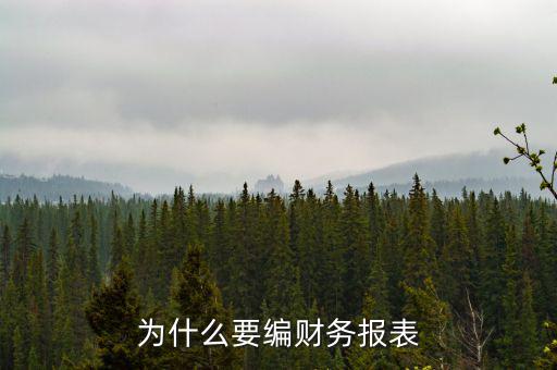 為什么要申報(bào)財(cái)務(wù)報(bào)表，為什么要編財(cái)務(wù)報(bào)表