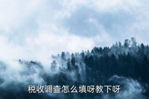 稅收調(diào)查主要調(diào)查什么，企業(yè)所得稅稅收調(diào)查