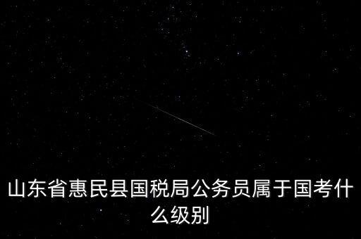 惠民國稅局在什么地方，國稅局在哪里