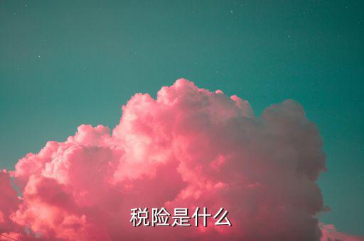 保險(xiǎn)的稅優(yōu)碼是什么意思，稅險(xiǎn)是什么