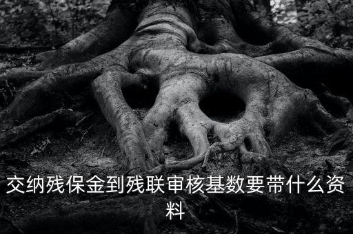 去稅務(wù)申報殘保金帶什么資料，去地稅交殘疾人保障金需要什么資料