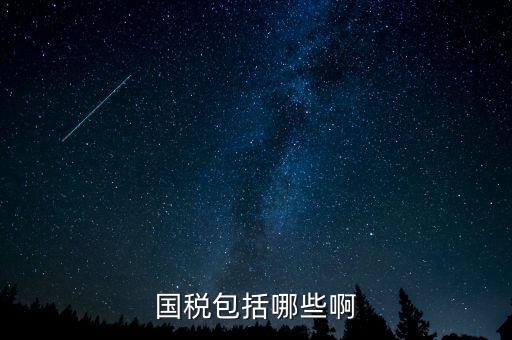 國(guó)稅涵蓋什么，國(guó)稅包括哪些啊