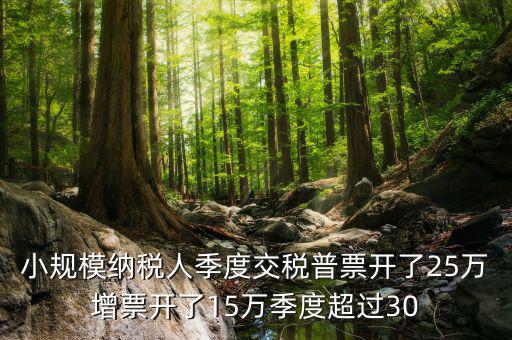 小規(guī)模納稅人季度交稅普票開了25萬(wàn)增票開了15萬(wàn)季度超過30
