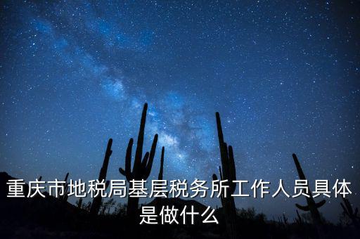 重慶地稅局前臺做什么的，重慶市地稅局基層稅務(wù)所工作人員具體是做什么