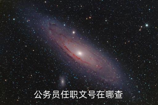 什么地方可以查任職文號，公務(wù)員任職文號在哪查