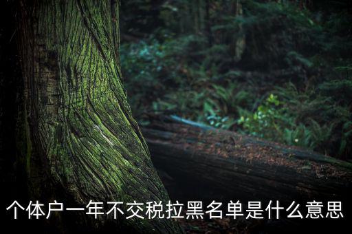 什么是納稅信用黑名單，個(gè)體戶一年不交稅拉黑名單是什么意思