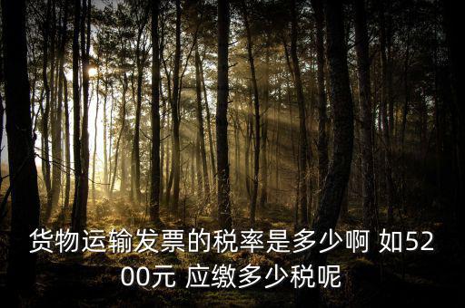 貨物運輸發(fā)票的稅率是多少啊 如5200元 應繳多少稅呢