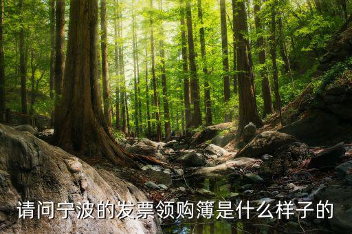 發(fā)票領(lǐng)用簿什么樣子，會計發(fā)票領(lǐng)購沒經(jīng)驗想請問領(lǐng)購的發(fā)票時什么樣的有金額顯示嗎