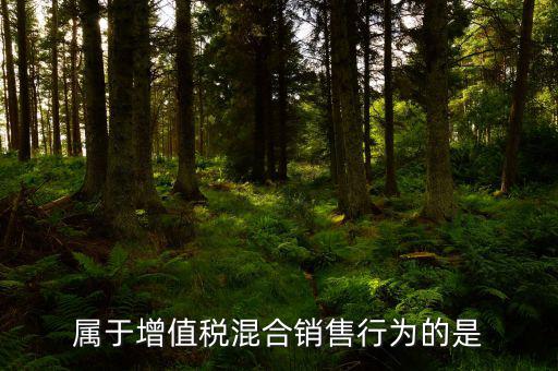 屬于增值稅混合銷(xiāo)售行為的是