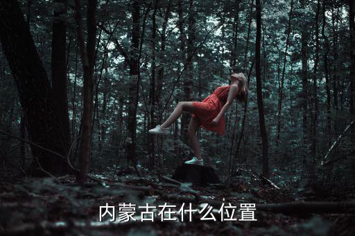 內蒙古在什么位置