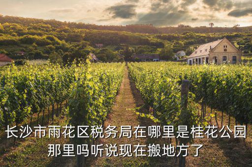 長沙國稅局在什么地方，長沙國稅局在哪