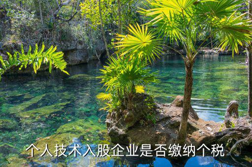 個(gè)人專利入股繳什么稅，請教稅法高手個(gè)人專利技術(shù)入股需繳稅嗎