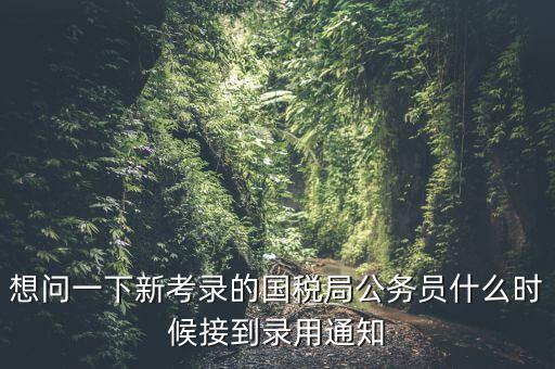 國稅錄取通知什么時(shí)候，今年國稅公務(wù)員正式錄用公告什么時(shí)候出