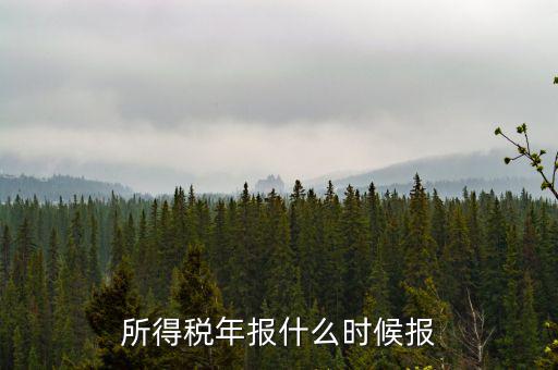 國稅企業(yè)所得稅年報(bào)什么時(shí)候開始報(bào)，什么時(shí)間報(bào)企業(yè)所得稅年度納稅