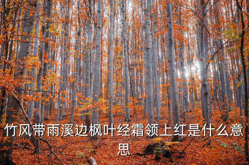 竹風帶雨溪邊楓葉經(jīng)霜領上紅是什么意思