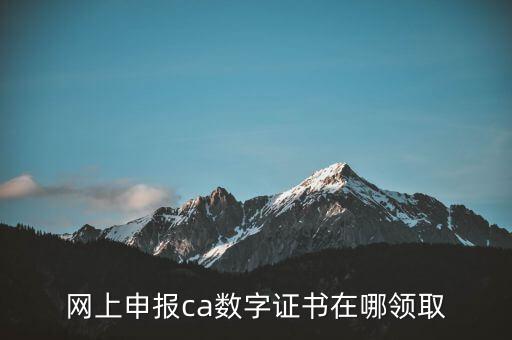 申報領取什么CA，財務報稅的ca通道是什么
