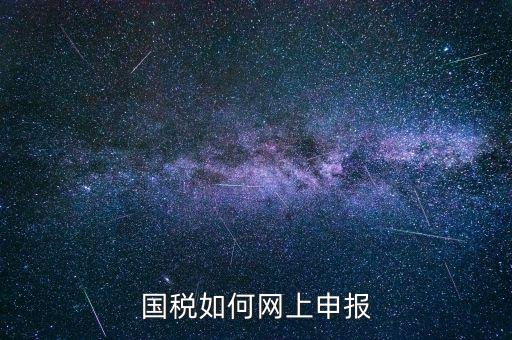 企業(yè)國(guó)稅申報(bào)上什么網(wǎng)，企業(yè)稅務(wù)申報(bào)去哪個(gè)網(wǎng)站