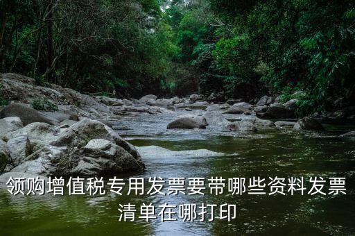 公司領(lǐng)票需要什么資料，領(lǐng)購增值稅專用發(fā)票要帶哪些資料發(fā)票清單在哪打印