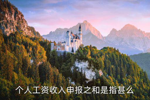 工資稅前加項(xiàng)是什么意思，個(gè)人工資收入申報(bào)之和是指甚么