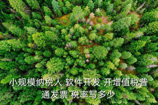 小規(guī)模納稅人 軟件開(kāi)發(fā) 開(kāi)增值稅普通發(fā)票 稅率寫(xiě)多少