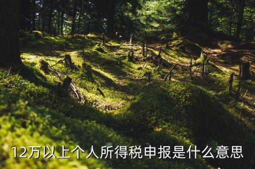 個(gè)稅12萬(wàn)申報(bào)是什么意思，12萬(wàn)以上個(gè)人所得稅申報(bào)是什么意思