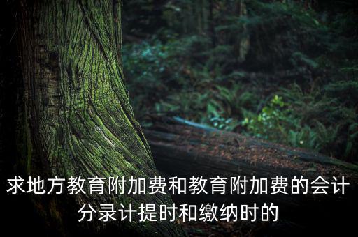 地方教育費附加是什么意思，教育費附加代表什么意思