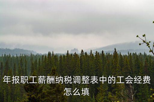 工會(huì)經(jīng)費(fèi)應(yīng)稅項(xiàng)填什么，網(wǎng)上報(bào)稅時(shí)又多了一項(xiàng)工會(huì)經(jīng)費(fèi)怎樣填寫(xiě)計(jì)算