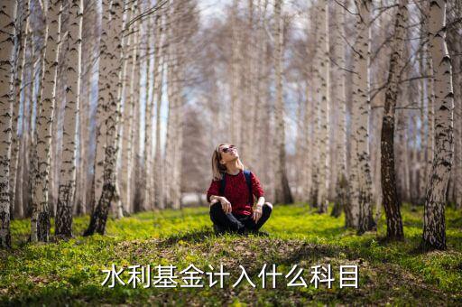 水利基金指什么，水利基金計(jì)入什么科目