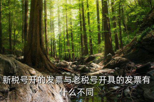 新稅號(hào)開(kāi)的發(fā)票與老稅號(hào)開(kāi)具的發(fā)票有什么不同