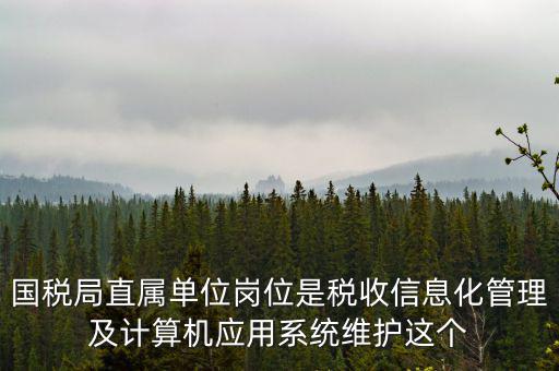 什么是國稅信息化，信息化在稅務(wù)管理中有什么作用