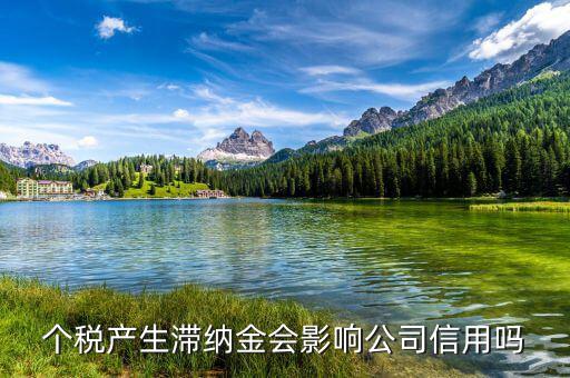 稅收滯納金有什么影響，地稅報(bào)稅逾期產(chǎn)生滯納金會(huì)對(duì)公司有甚么影響